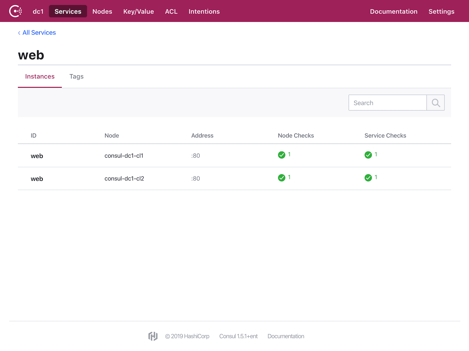 Consul UI displays two healthy instances of web.